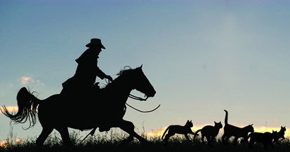 Herding Cats